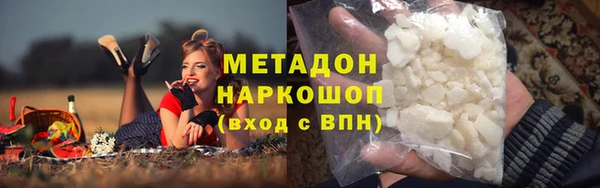 прущие грибы Аркадак