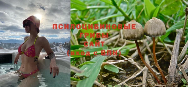 прущие крисы Баксан