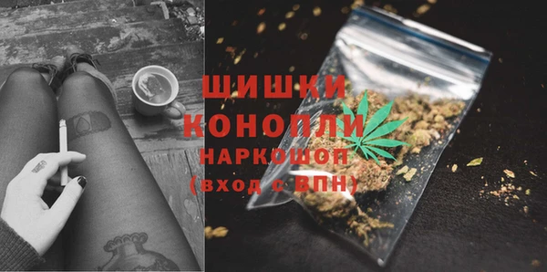 гидра Новокубанск