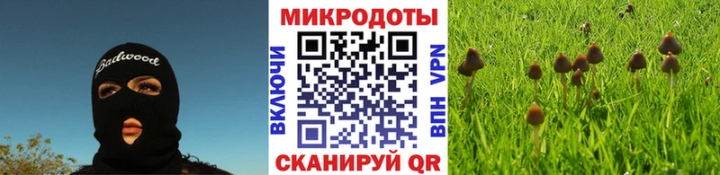 Псилоцибиновые грибы мицелий  Балашов 